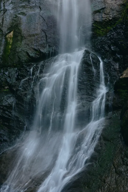 flowing waterfall cascading over dark mossy rocks in a serene forest setting with soft natural light and cool tones