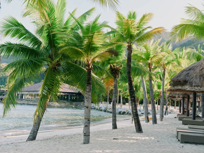 Sunlit tropical beach lined with palm trees, white sand, and calm turquoise water, with wooden huts along the shore for a serene island getaway.
