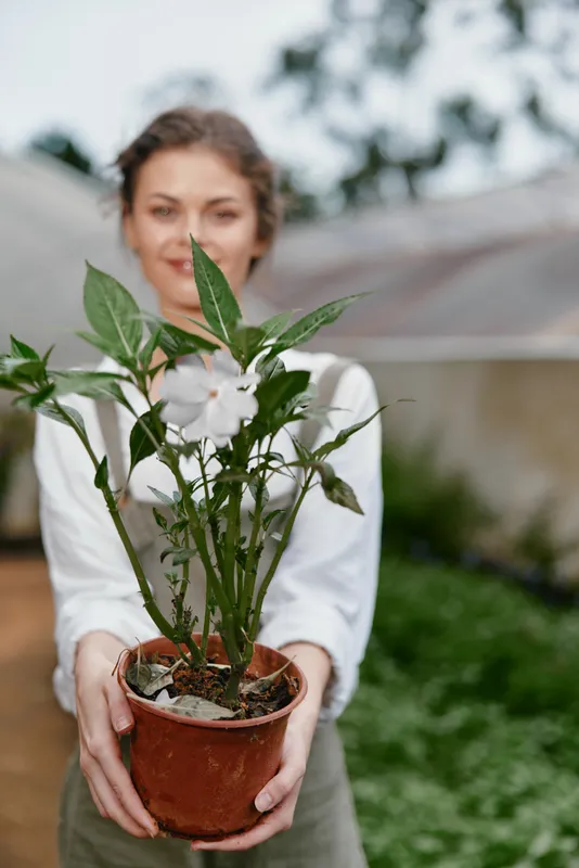 Smiling woman holding a potted plant in a greenhouse, showcasing her love for gardening and sustainable living with a bright and fresh ambiance