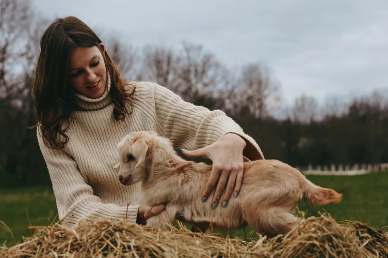 Warm outdoor moment with a woman in a chunky knit sweater guiding a small dog on a hay bale, soft natural light, relaxed countryside vibe, casual lifestyle, candid and cozy scene