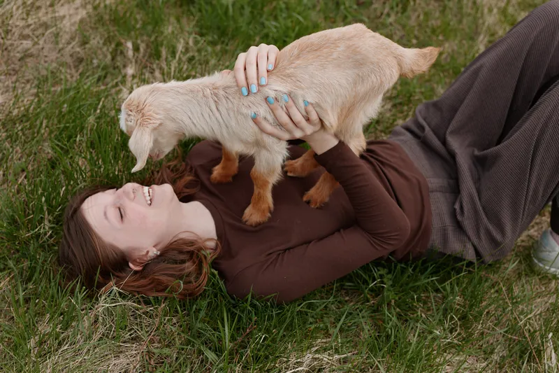 Woman lying on grass outdoors, smiling while holding a gentle goat kid, warm sunlight, relaxed lifestyle moment, affectionate interaction, close bond with animal, natural colors, serene countryside