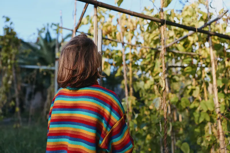 Woman in a striped sweater back view standing in a garden vineyard outdoor scene, 30s brown hair casual outfit, contemplative mood, lifestyle travel portrait in nature.
