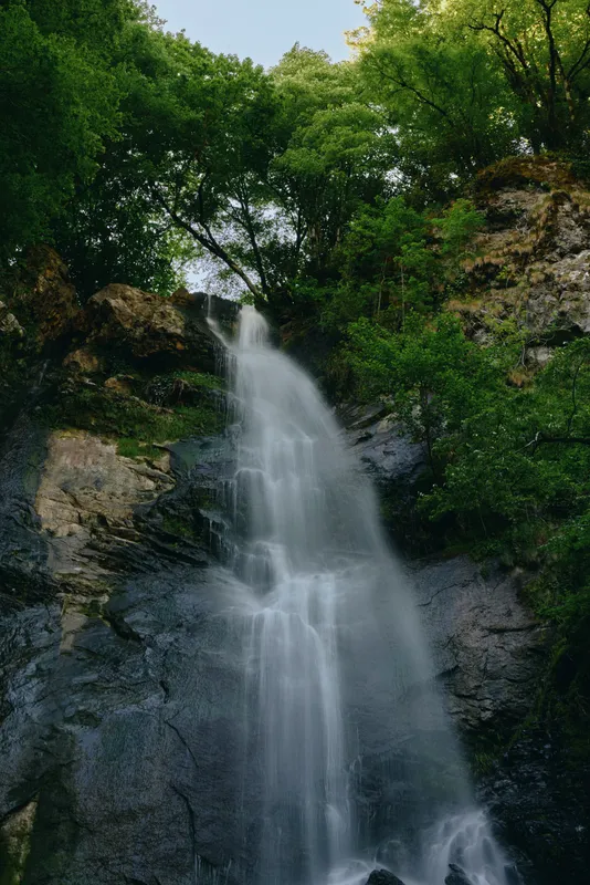 Tall waterfall cascading over rugged rocks surrounded by lush green trees in a serene forest setting during daylight.