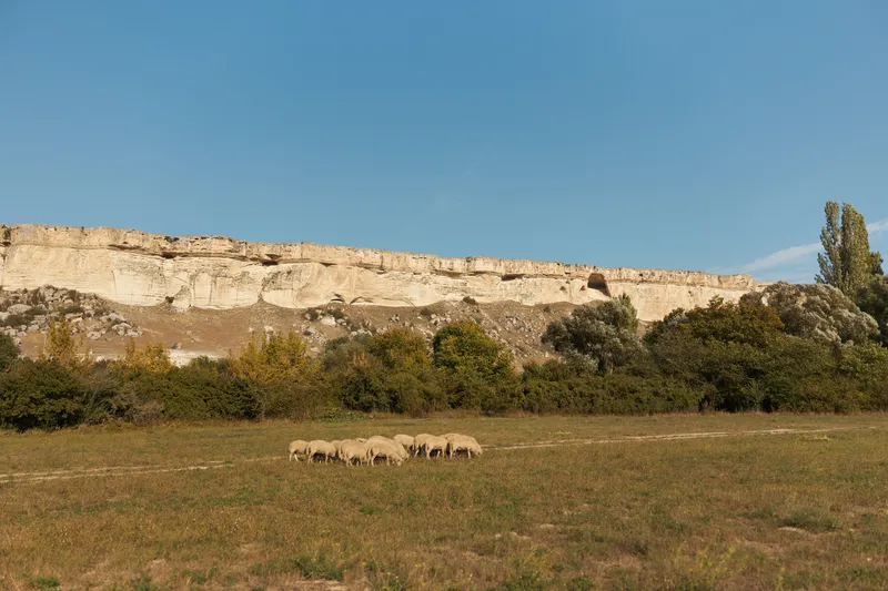 Овцы пасутся в поле на фоне величественного скального образования
