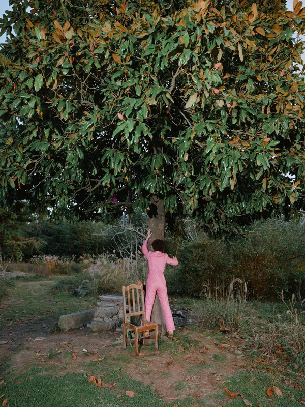 Outdoor scene with a person in a pink jumpsuit reaching up toward a large tree, wooden chair nearby, in a garden park with autumn leaves and greenery.