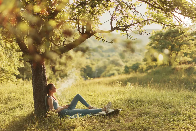 Young woman relaxing under a tree in a sunlit meadow, enjoying a peaceful moment with a laptop, embodying a serene outdoor lifestyle