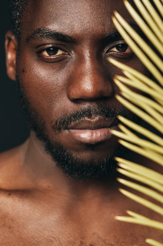 African man portrait with dark skin and beard in creative conceptual visual style closeup with palm leaf on black background for beauty and fashion photography series.