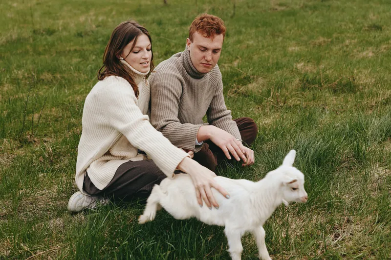 goat, kid, lifestyle, couple, outdoors, meadow, grass, animal, a couple sits on the grass while a white goat kid approaches playfully, creating a warm, candid outdoor moment in a rural field