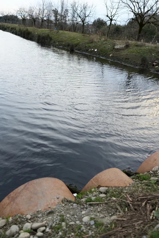 Calm river water along a rocky shoreline, soft ripples near riverbank stones, leafless trees and green meadow background, outdoors landscape nature, peaceful lifestyle moment