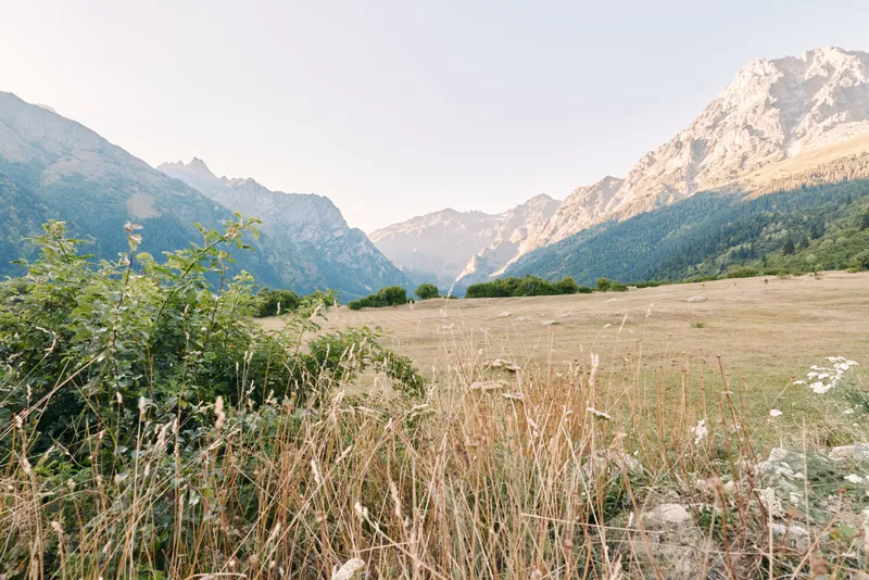 Mountain meadow valley with tall grass and wildflowers in a scenic landscape, nature peaks framed by ridges and sunlight, panoramic outdoor field conveying tranquil summer serenity.