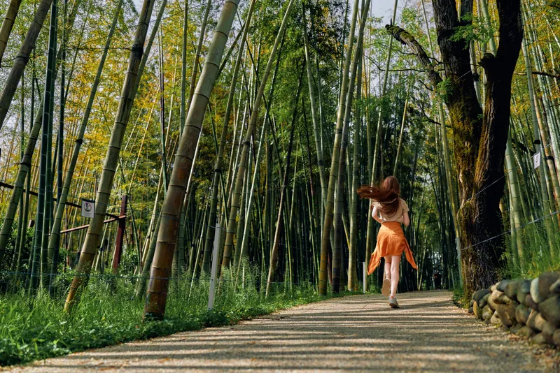 Bamboo woman dress hat path forest running sunlight: back view of a woman in an orange summer dress and straw hat running along a shaded gravel path through towering bamboo forest with dappled