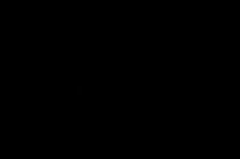 Фотография №195778