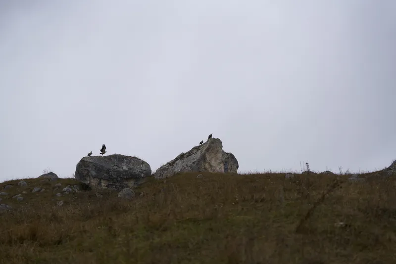 Горный пейзаж с камнями, облаками в небе и травой