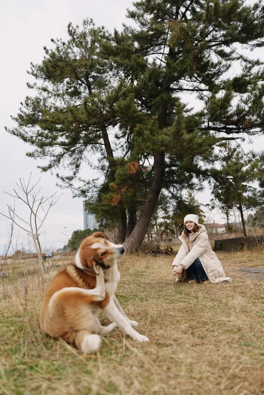 Dog and woman in a peaceful outdoor park scene, kneeling beside a content dog near a large pine tree, capturing calm companionship and simple nature moments