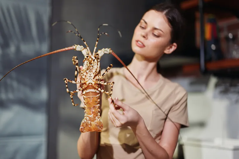 Женщина держит лобстера на фоне кухни в сцене приготовления морепродуктов