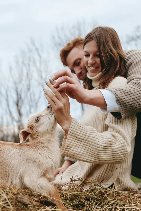 Young couple wearing cozy sweaters interacts happily with a baby goat outdoors in a natural setting during a relaxed lifestyle moment in early spring.