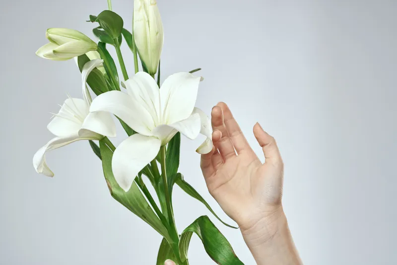 Букет белых цветов и женские руки на светлом фоне, обрезной вид крупным планом