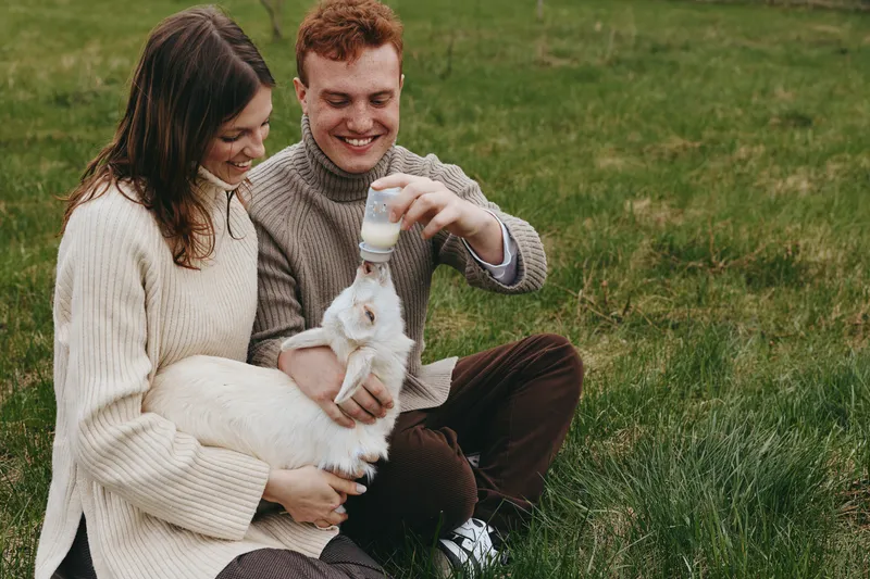 Lifestyle scene shows a joyful couple feeding a goat kid in a grassy meadow, enjoying a candid outdoors moment, warm sweaters, and gentle bonding, joy in the countryside.