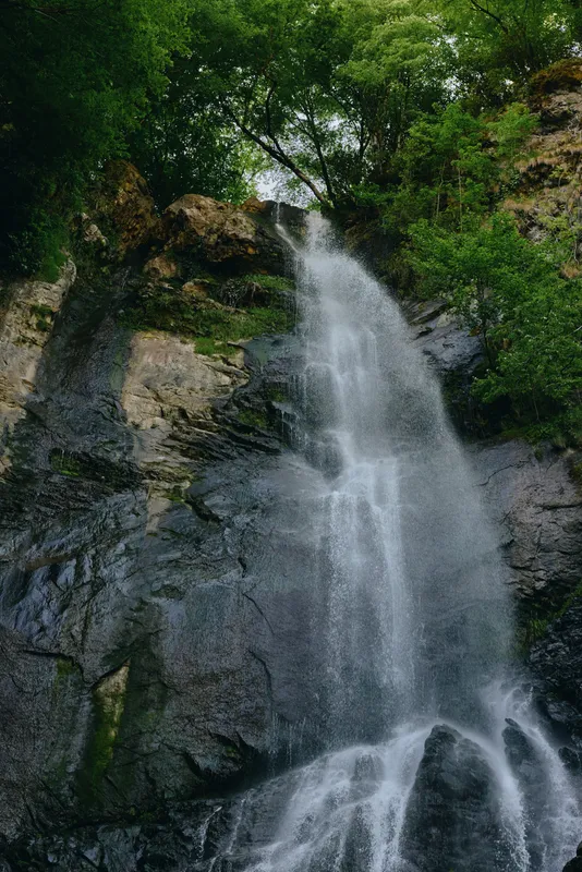 waterfall cascading down rocky cliff surrounded by lush green trees, natural outdoor scene with flowing water and vibrant foliage in daylight