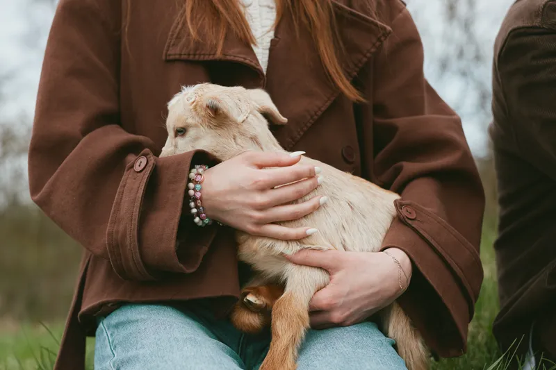 A young woman in a brown coat gently holds a small white baby goat on her lap outdoors in a natural setting, capturing a tender moment of connection and care.