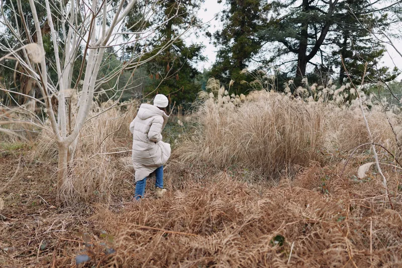 Winter, person in a warm coat walks through tall dry grasses in an open natural landscape, surrounded by trees, creating a quiet, contemplative outdoor scene.