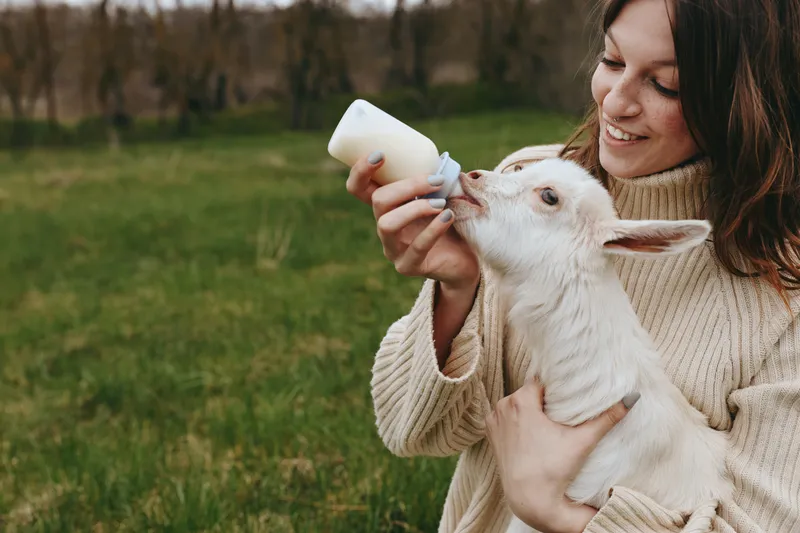 Young woman outdoors bottle feeding a friendly goat kid in a grassy field, warm sweater, soft light, candid lifestyle moment, natural colors, rustic setting, gentle connection with nature