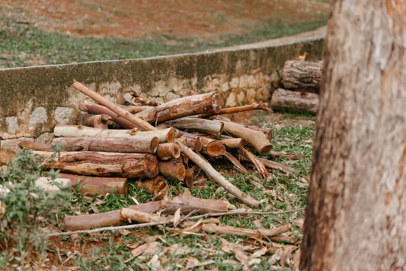 Pile of firewood logs stacked neatly outdoors in a rustic setting, surrounded by green grass and a concrete wall, ideal for cozy winter fireplaces