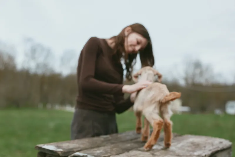 Playful outdoor moment with a woman gently holding a young goat on a wooden table, soft natural light, countryside setting, candid lifestyle scene, joyful connection