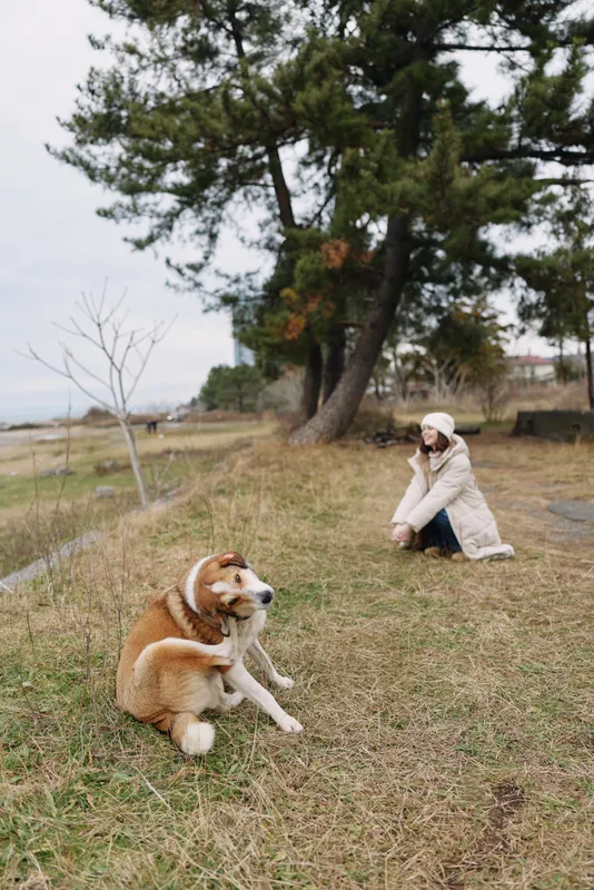 Woman kneeling by a calm riverside with a large dog resting on grass, trees in the background under overcast sky, a peaceful outdoor moment.