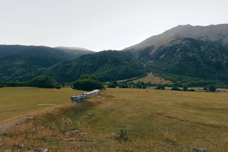 Meadow mountains fence field valley grass hills landscape with wooden fence leading across open grassy plain toward forested foothills and distant rugged peaks under pale sky.