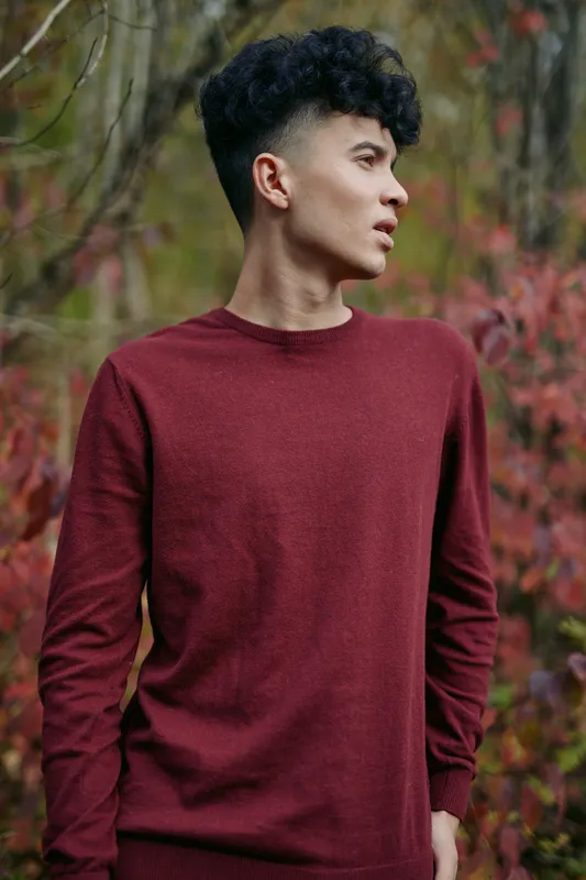Candid portrait of a young man in a burgundy sweater standing among autumn foliage, captured with natural light to convey authenticity and a trustworthy, genuine presence.
