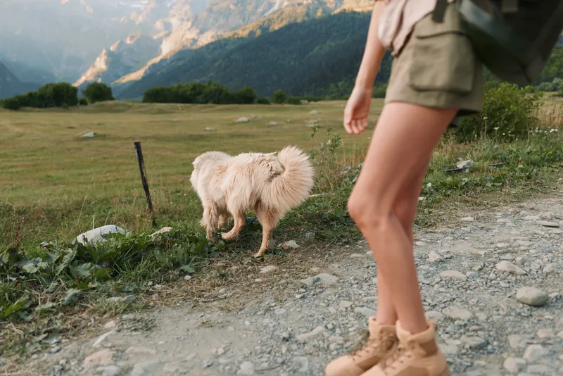A young woman in shorts and hiking boots walks along a rocky path with a fluffy dog in a mountainous countryside during a clear day.