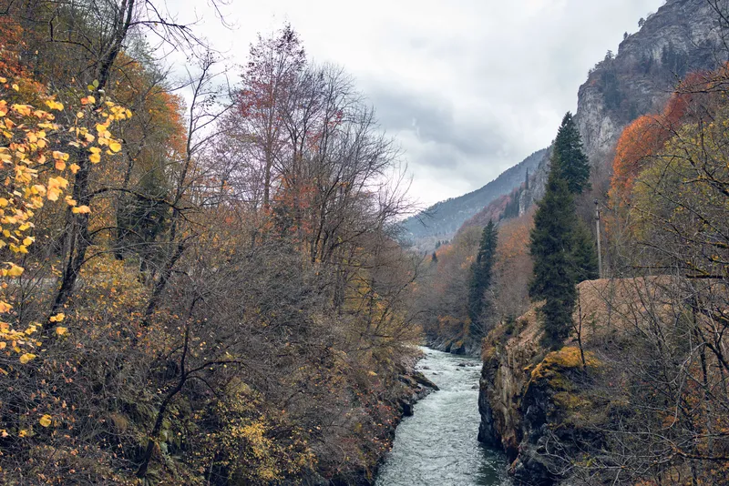 Горы, осенний лес, река, пейзаж, природа, путешествия