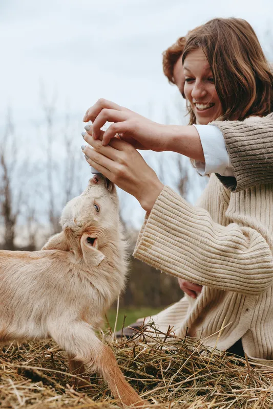 Young woman with long brown hair feeds a baby goat outdoors in a rural setting while smiling and wearing a knitted beige sweater on a cloudy day.