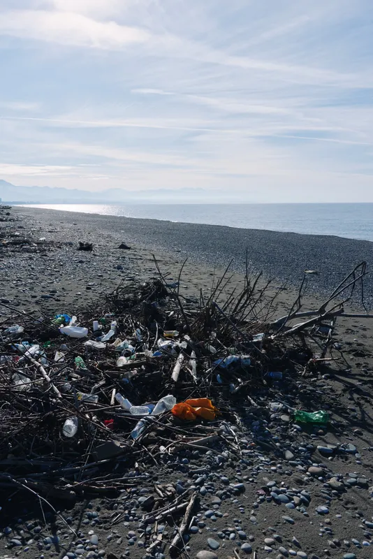 Beach debris on a rocky shore shows plastic waste and litter, highlighting pollution and ocean health challenges in a stark, documentary style coastal scene.