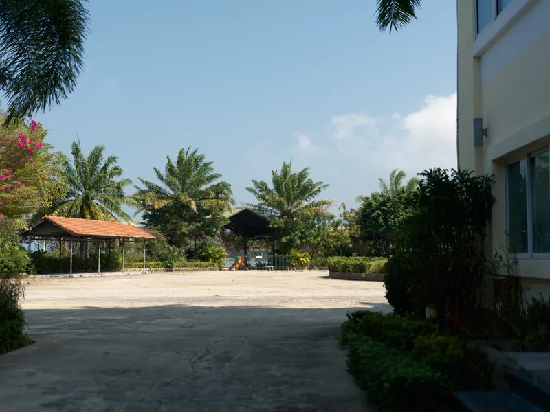 Empty outdoor area with concrete ground and tropical palm trees under clear blue sky, bright sunny day with shadows from nearby building and plants.