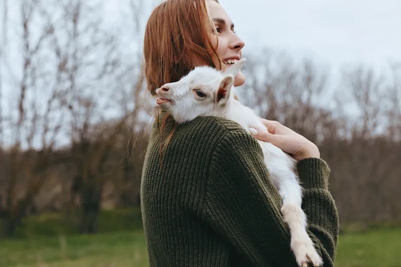 Goat kid and woman share a gentle outdoors moment, cuddling in a green sweater, peaceful nature, joyful connection, rustic countryside, warm, natural colors