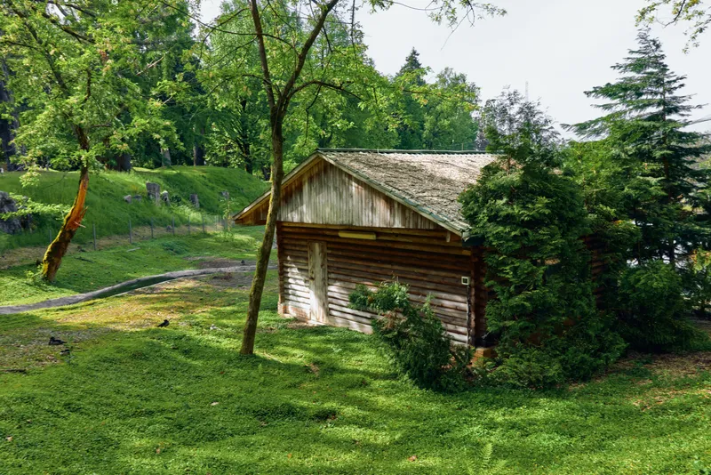 Cabin shed log countryside forest trees surrounded by green grass and bushes, rustic wooden building under canopy with dappled sunlight, pathway and tranquil rural nature scene