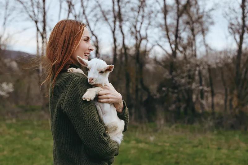 A woman in a green sweater gently cradles a young goat in a sunlit field, smiling. A candid moment of animal friendship, rural lifestyle, and calm countryside living.