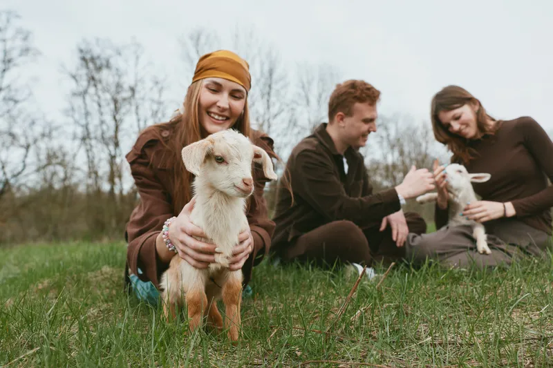 Lifestyle scene with goat, kid, people, outdoors, field, friends, joy, interaction, animals, countryside as three companions smile and connect with a playful kid in a sunlit meadow