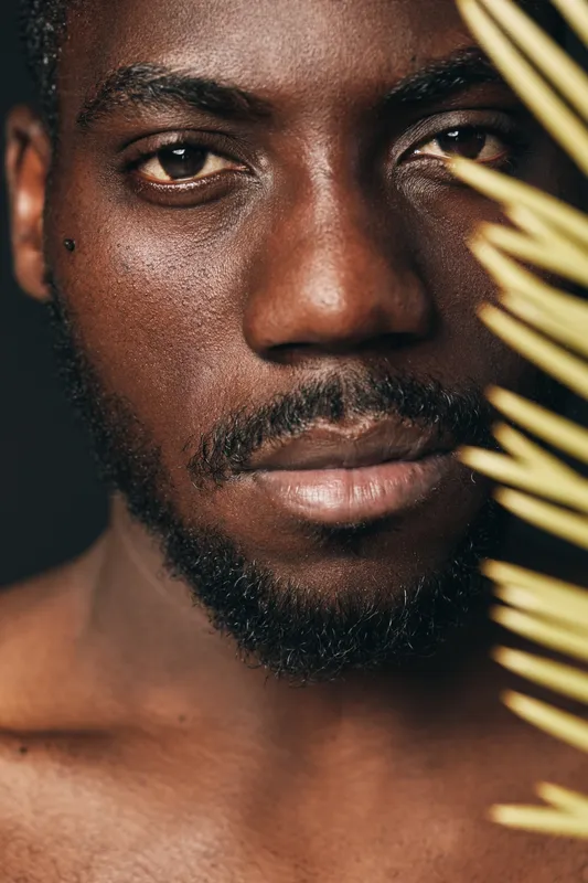 Closeup portrait of African man with dark skin and beard in creative visual designer style with palm leaf on face for beauty and natural concept in studio lighting.