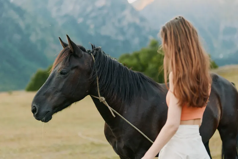 A young woman stands beside a dark horse in an open field under warm sunlight, gently touching the animal while both gaze toward a distant landscape, creating a peaceful, natural moment.