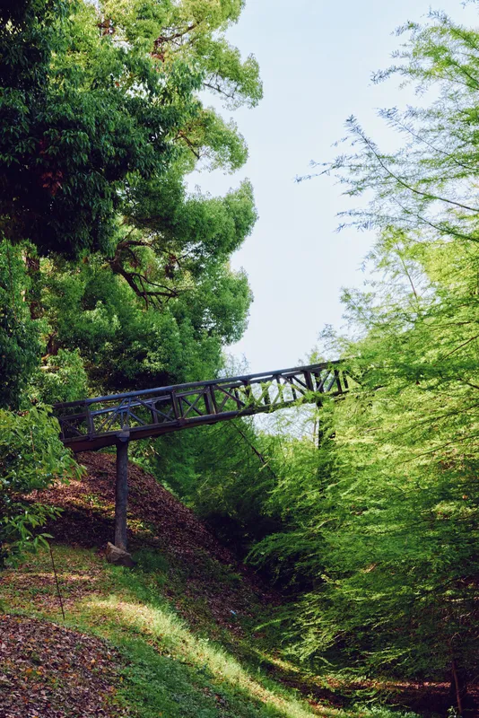 Bridge, forest, trees, green, footbridge, foliage - Narrow metal footbridge crossing a shaded woodland ravine, lush green trees and leafy undergrowth on a peaceful trail in spring light.