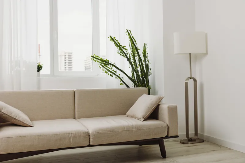 Minimalist living room with beige sofa and matching cushions under large bright windows. Tall green plant and modern floor lamp add natural and contemporary elements to the bright interior.