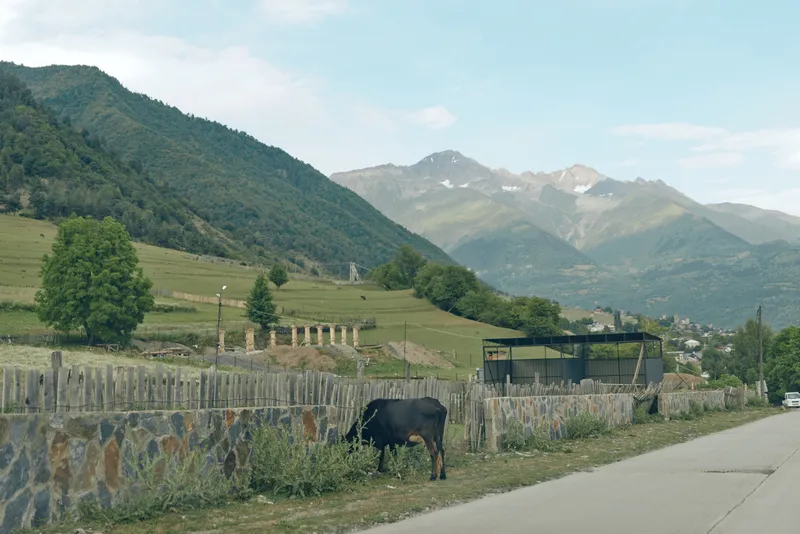 Rural landscape with a horse grazing beside a stone fence along a quiet road, green fields and distant mountains under a clear blue sky, creating a peaceful countryside scene