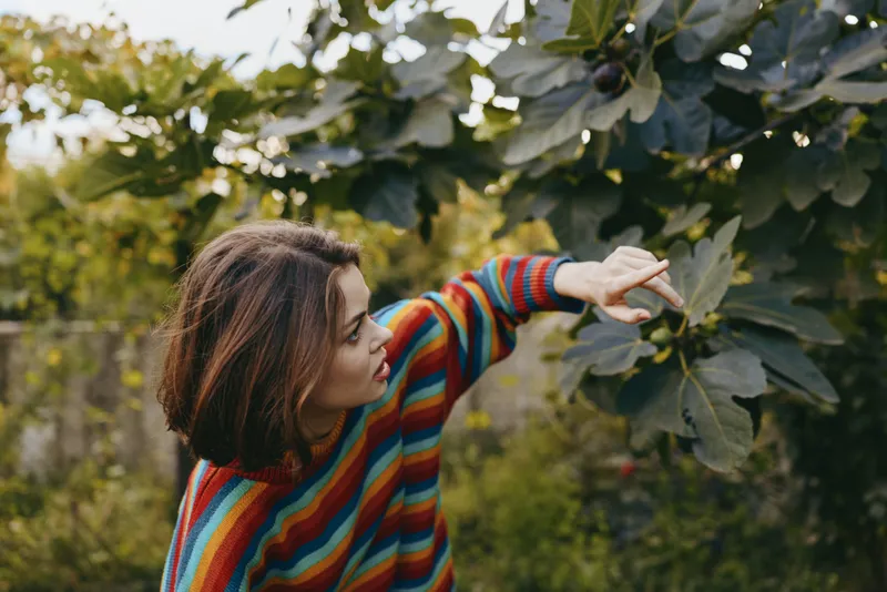 Woman in a striped sweater, young woman reaching leaves in a garden backyard. Nature casual outfit, touching fig tree foliage with curious expression; outdoor lifestyle, cozy autumn portrait.