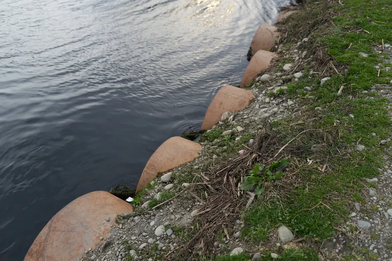 Lakeside shore with calm water, rocks, and stones beside green grass, outdoor landscape, natural texture, peaceful mood, lifestyle travel along a riverbank