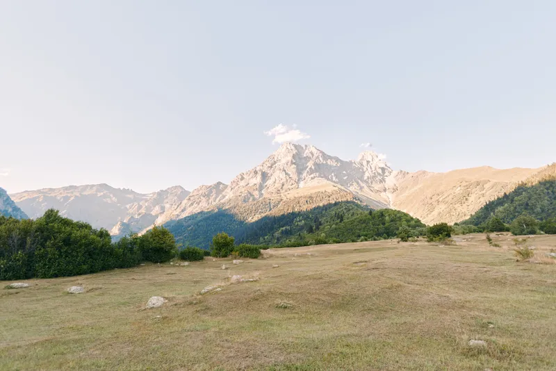 Mountain meadow landscape with valley and rocky peaks under clear sky, nature scene with grassy field, distant forested slopes and soft sunlight over alpine terrain.