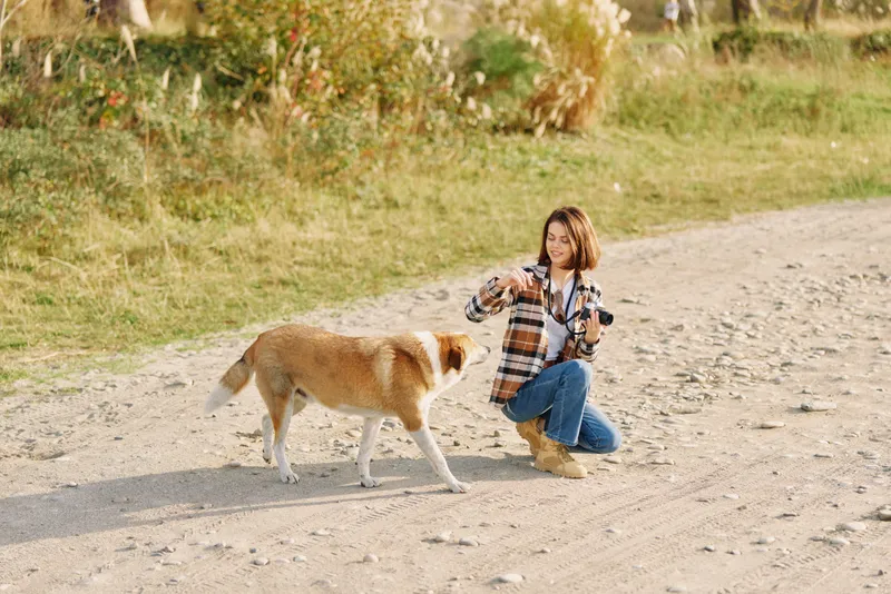 Woman kneels on a sunny dirt path, playing with a friendly dog in an outdoors setting, casual clothes, light breeze, and a relaxed moment of companionship amid nature.