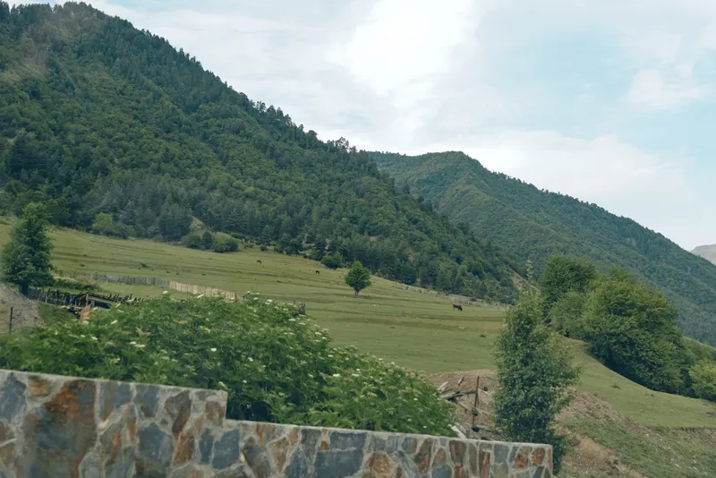 Mountain hillside terrace vineyard stonewall landscape with green slopes and terraced fields under cloudy sky rural agriculture scene with trees grass and natural hillside panorama